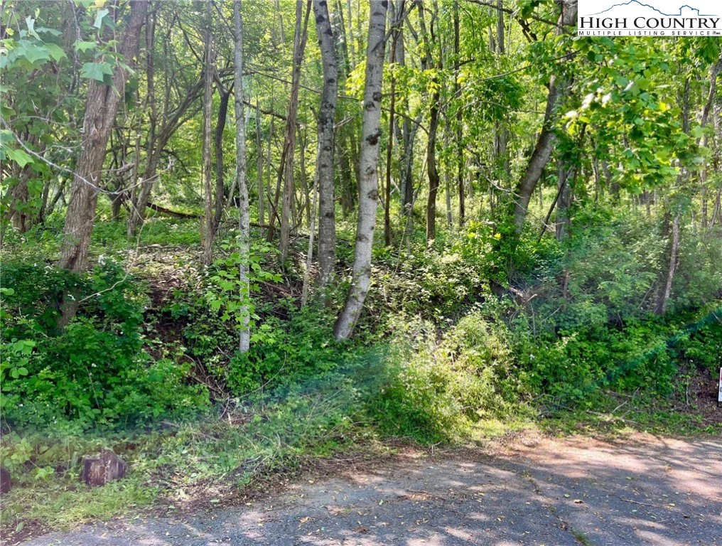 Image number 12 for the current listing