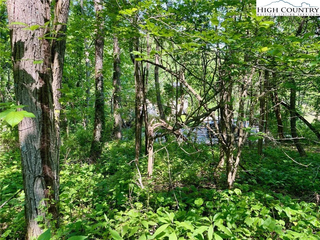Image number 3 for the current listing