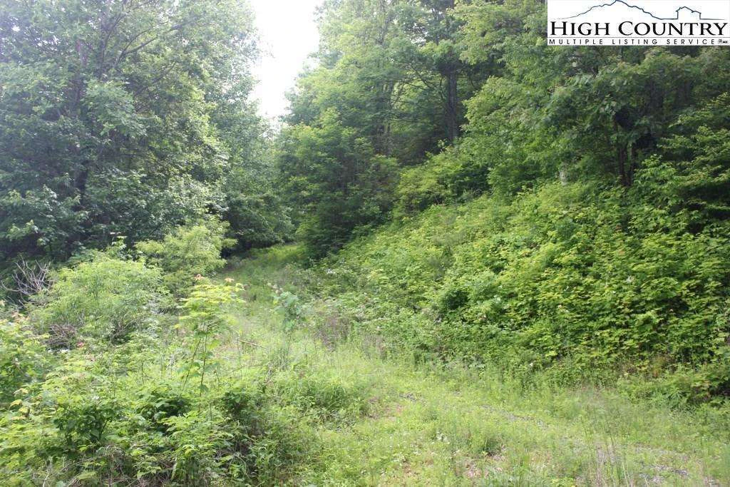 Image number 11 for the current listing