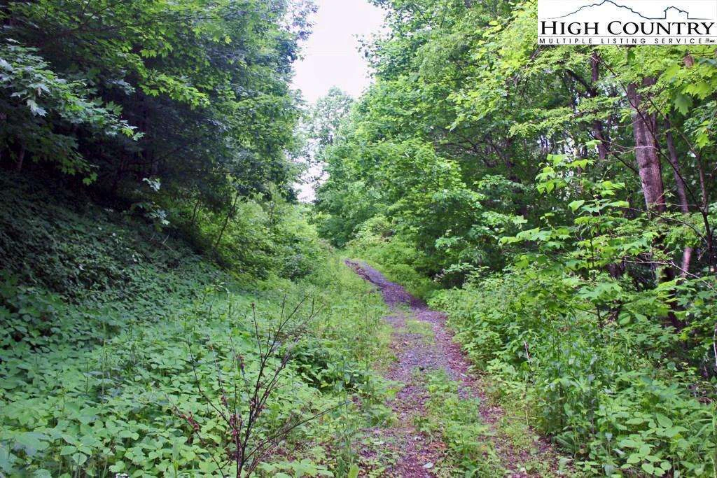 Image number 3 for the current listing