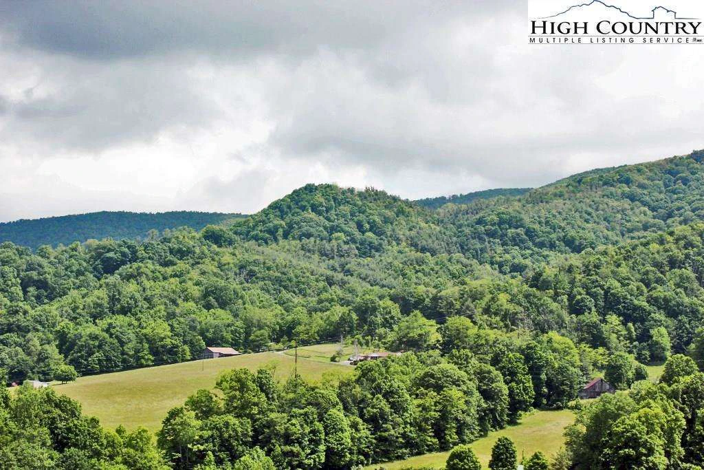 Image number 4 for the current listing