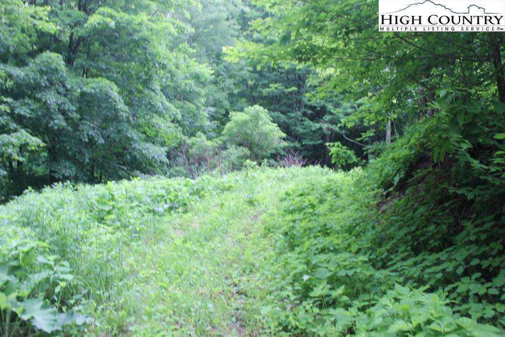 Image number 5 for the current listing