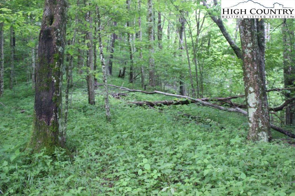 Image number 7 for the current listing