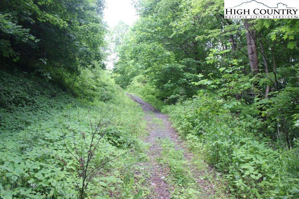 Image number 10 for the current listing