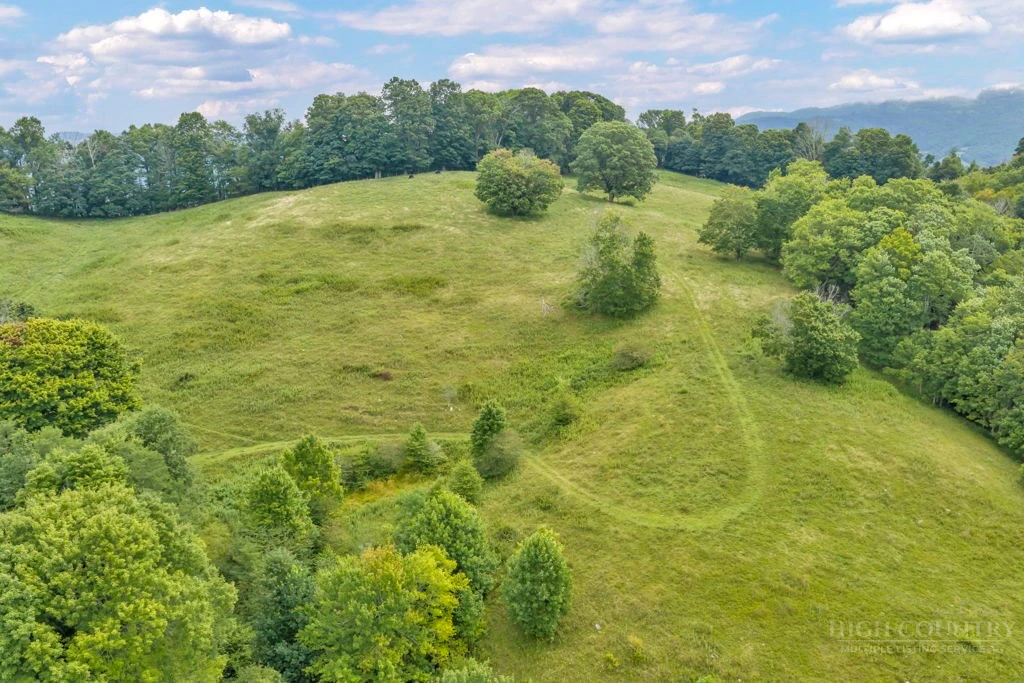 Image number 1 for the current listing
