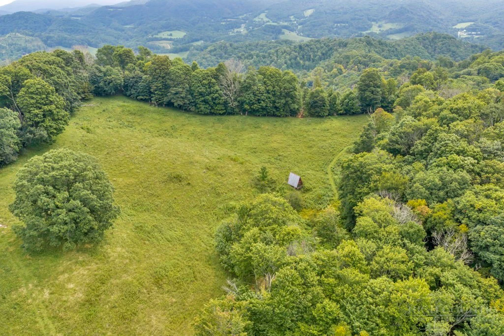 Image number 2 for the current listing