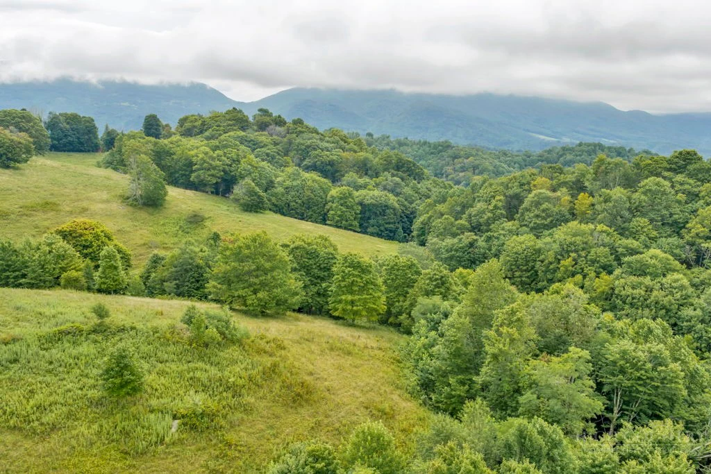 Image number 5 for the current listing