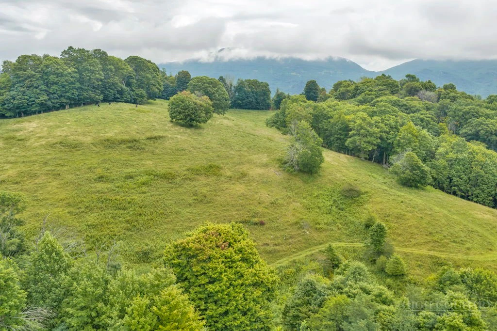Image number 6 for the current listing
