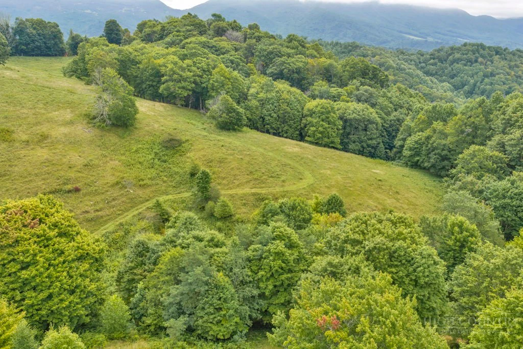 Image number 7 for the current listing