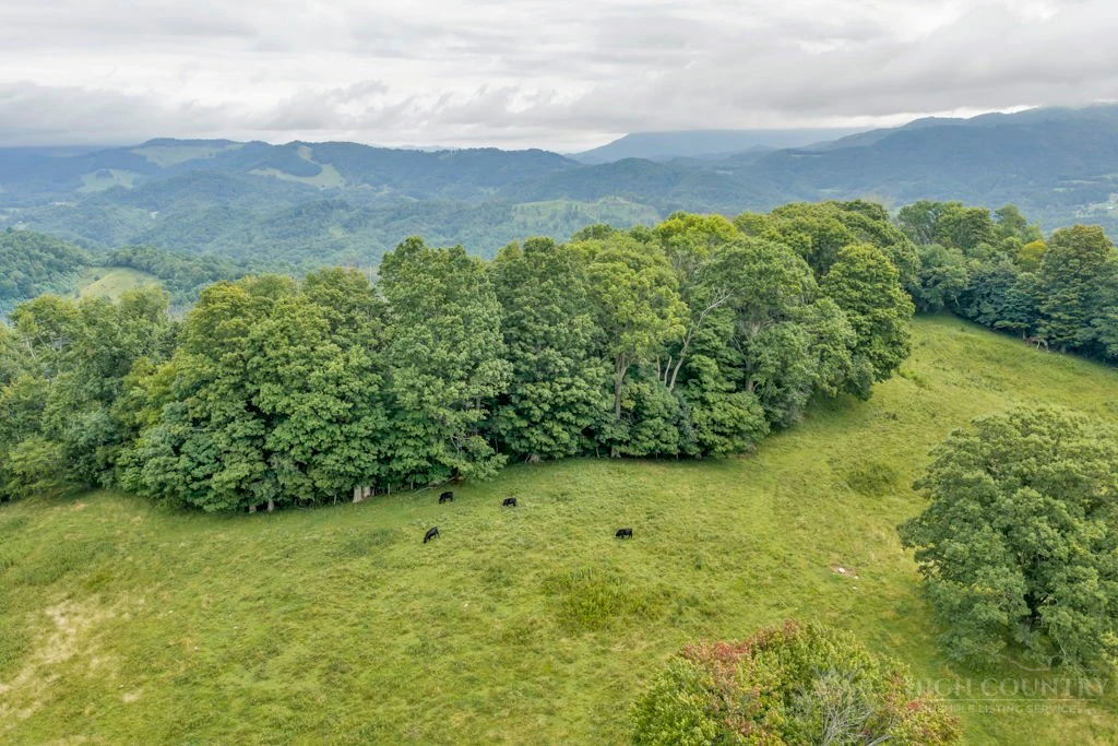 Image number 9 for the current listing