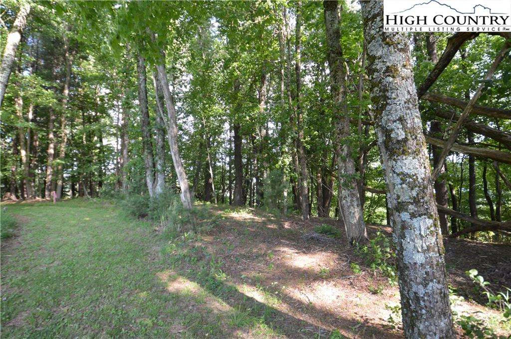 Image number 1 for the current listing