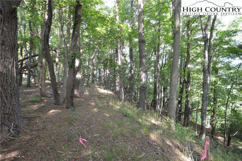 Image number 3 for the current listing