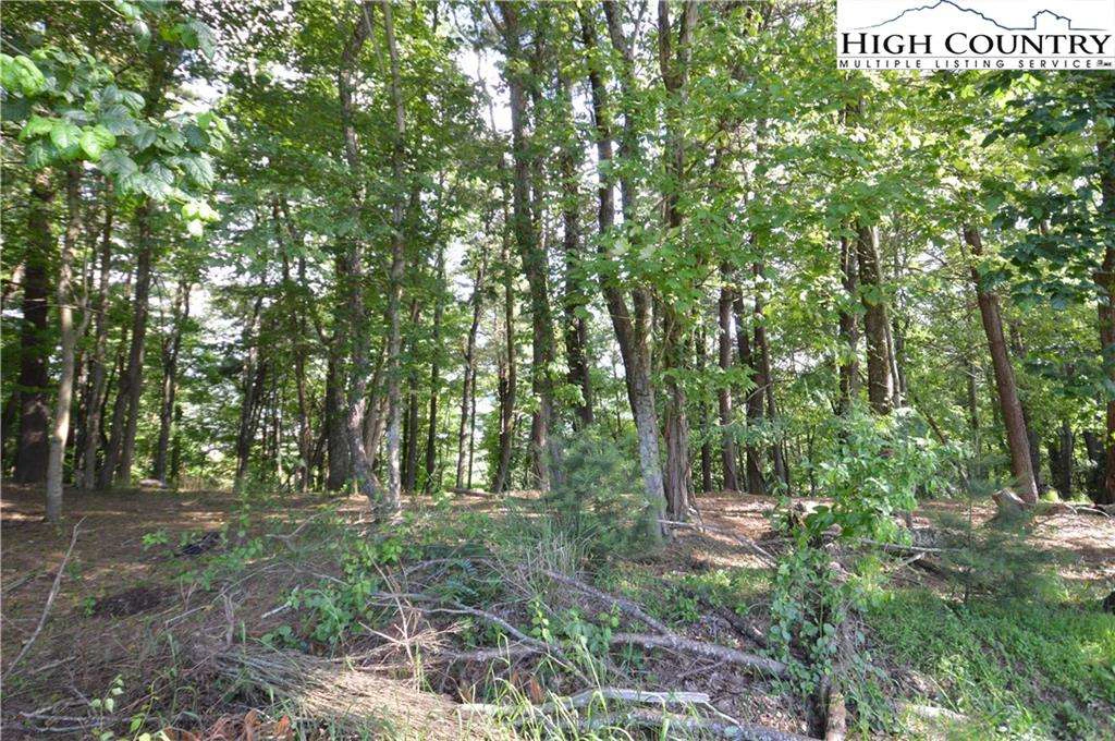 Image number 4 for the current listing