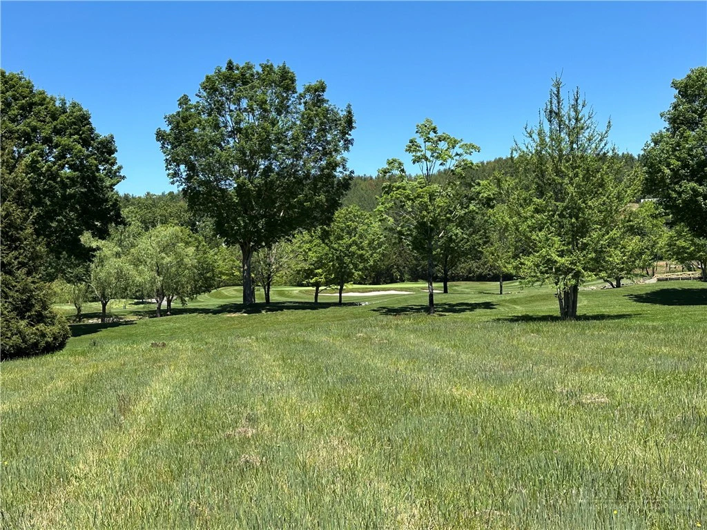 Image number 1 for the current listing