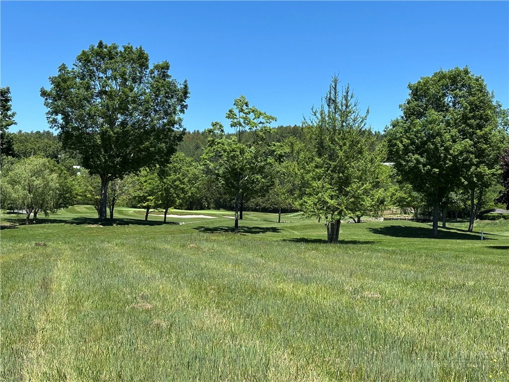 Image number 2 for the current listing
