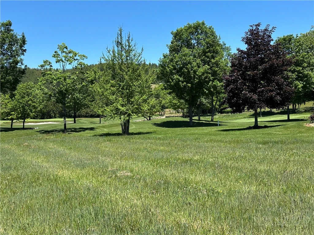 Image number 3 for the current listing