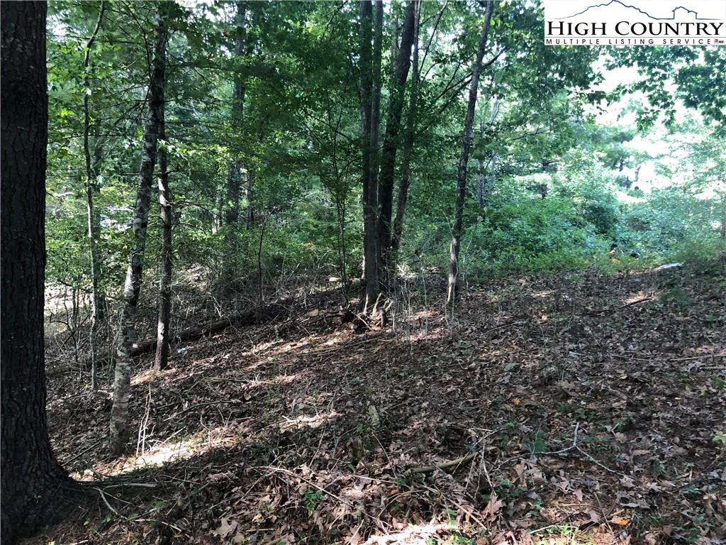Image number 18 for the current listing