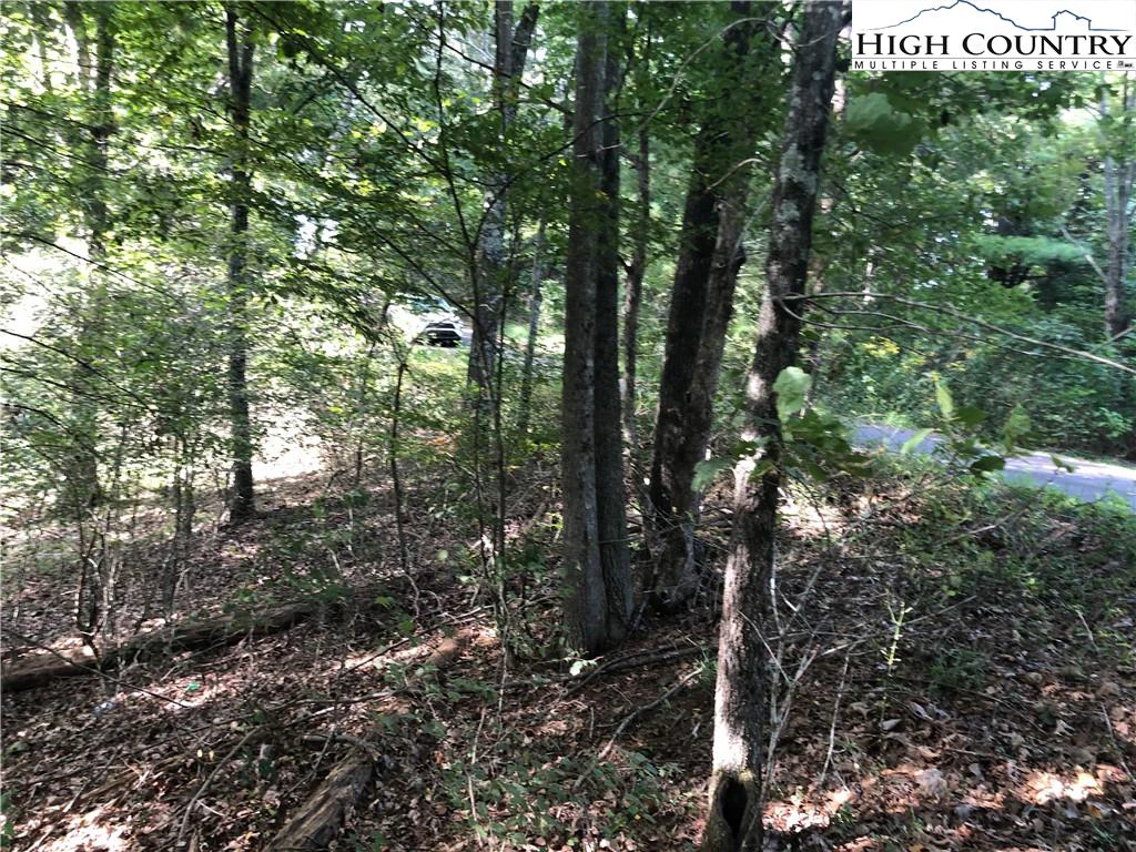 Image number 17 for the current listing