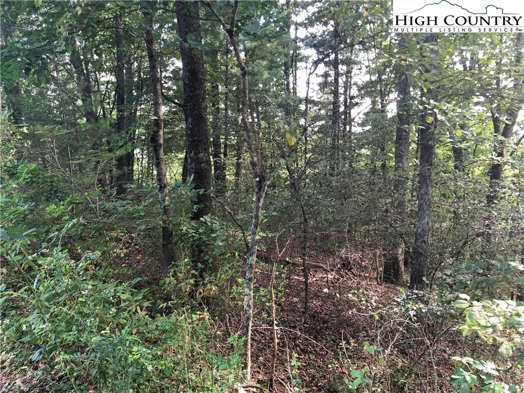 Image number 16 for the current listing