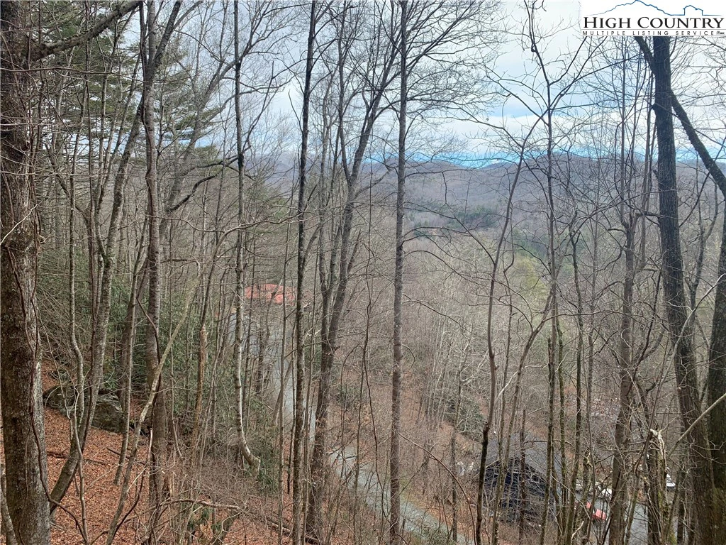 Image number 6 for the current listing
