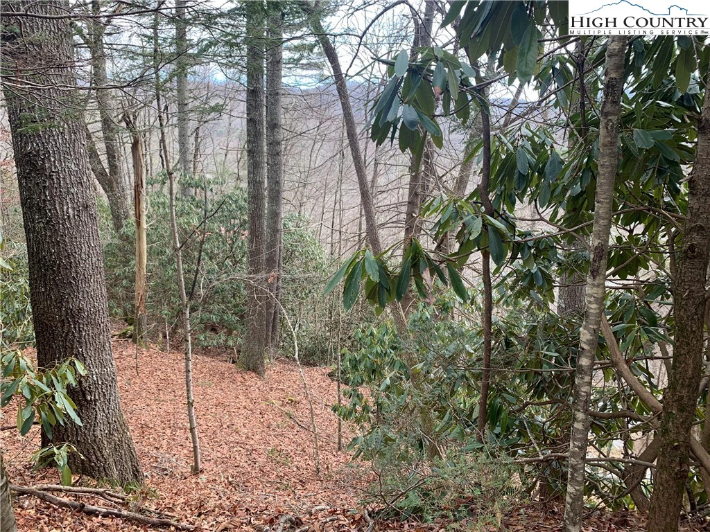 Image number 12 for the current listing