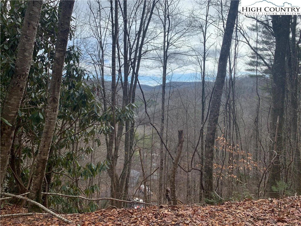 Image number 1 for the current listing