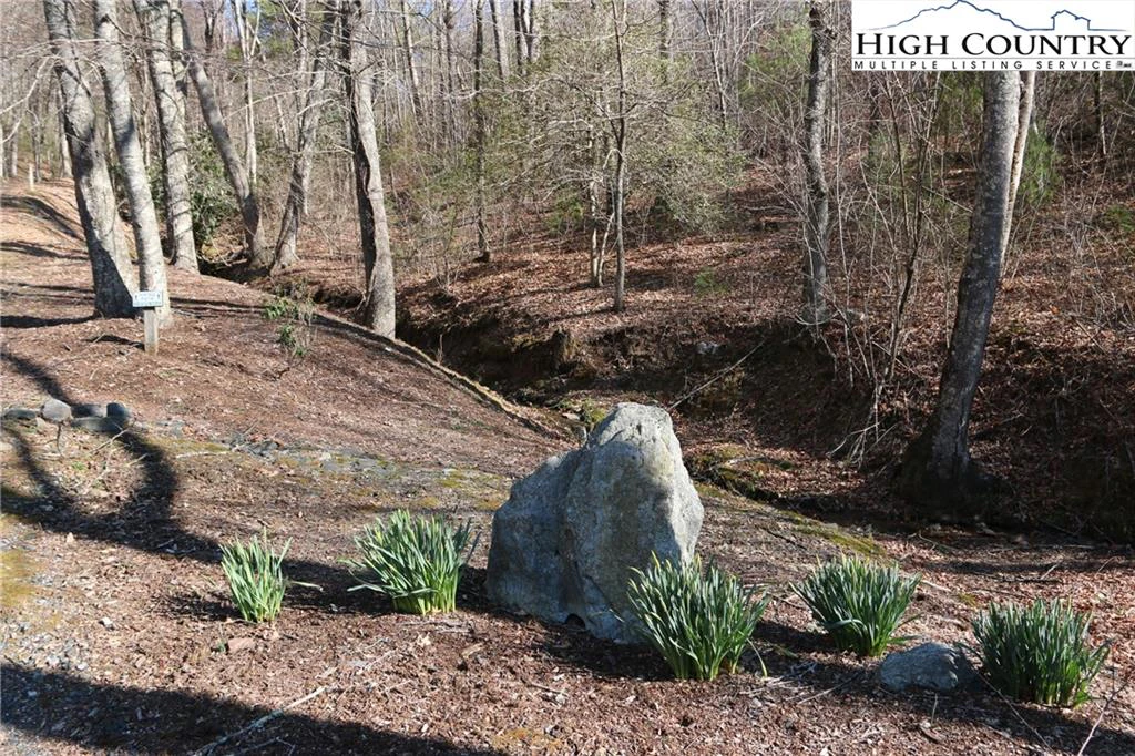 Image number 5 for the current listing
