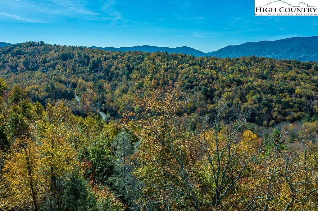 Image number 1 for the current listing