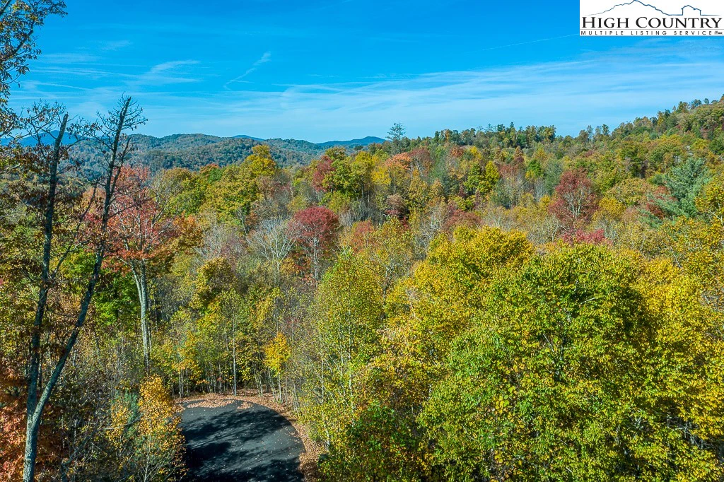 Image number 3 for the current listing