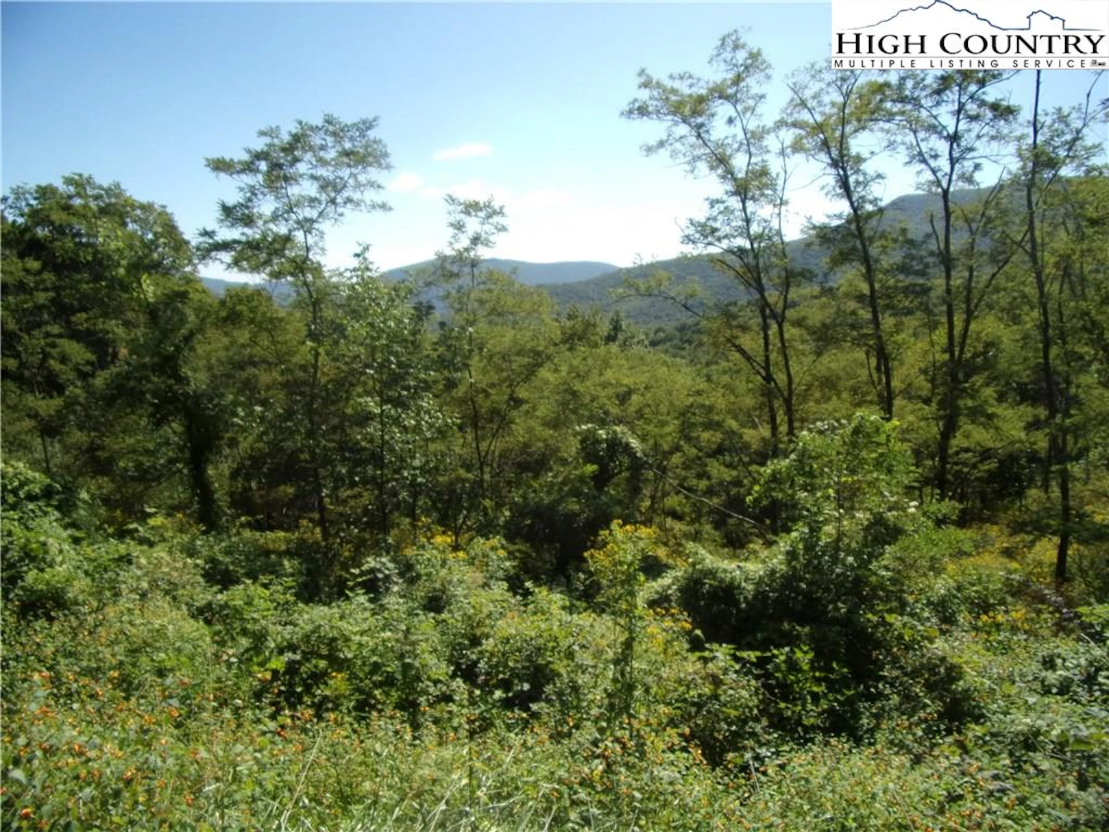 Image number 1 for the current listing