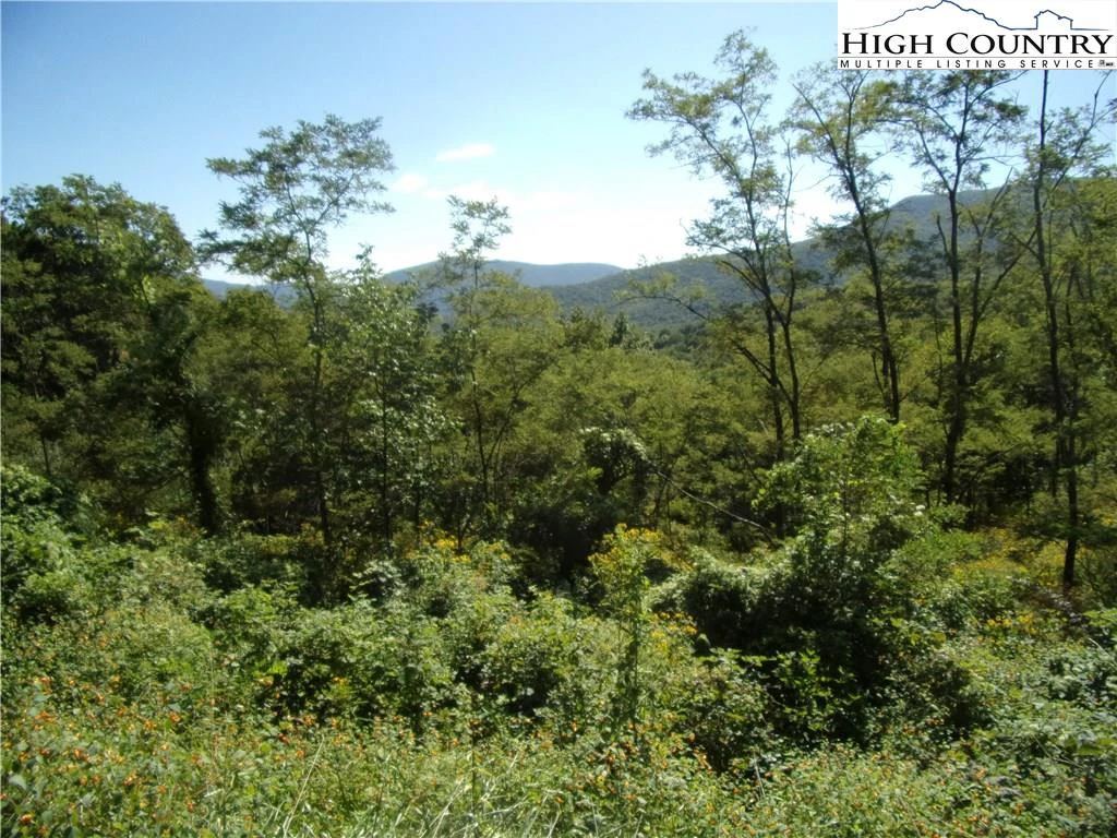Image number 1 for the current listing