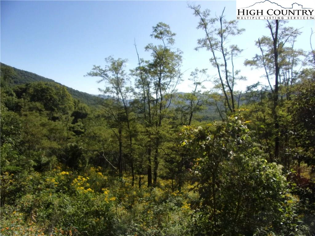 Image number 3 for the current listing