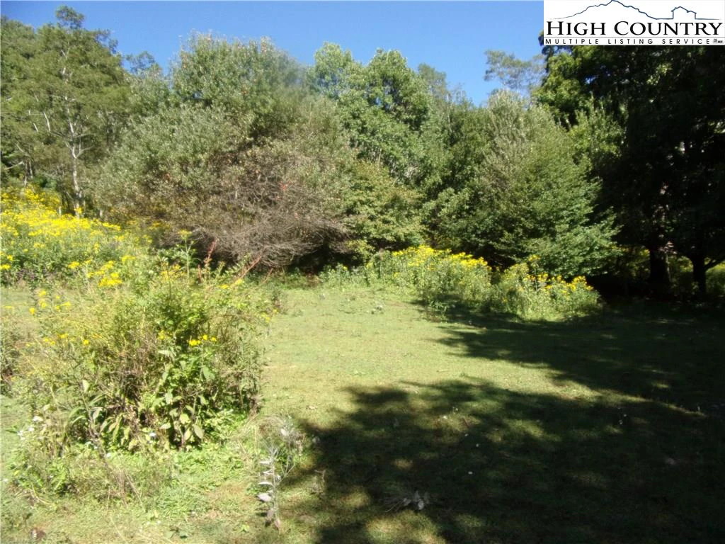 Image number 4 for the current listing
