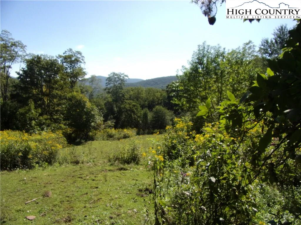 Image number 5 for the current listing