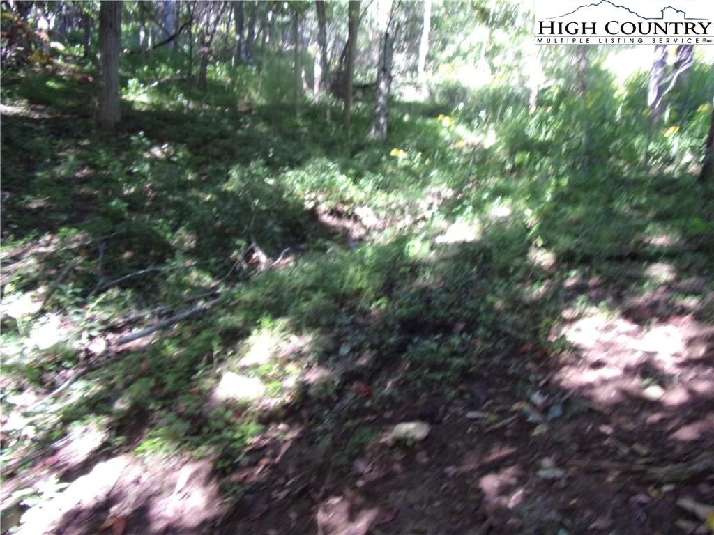 Image number 7 for the current listing