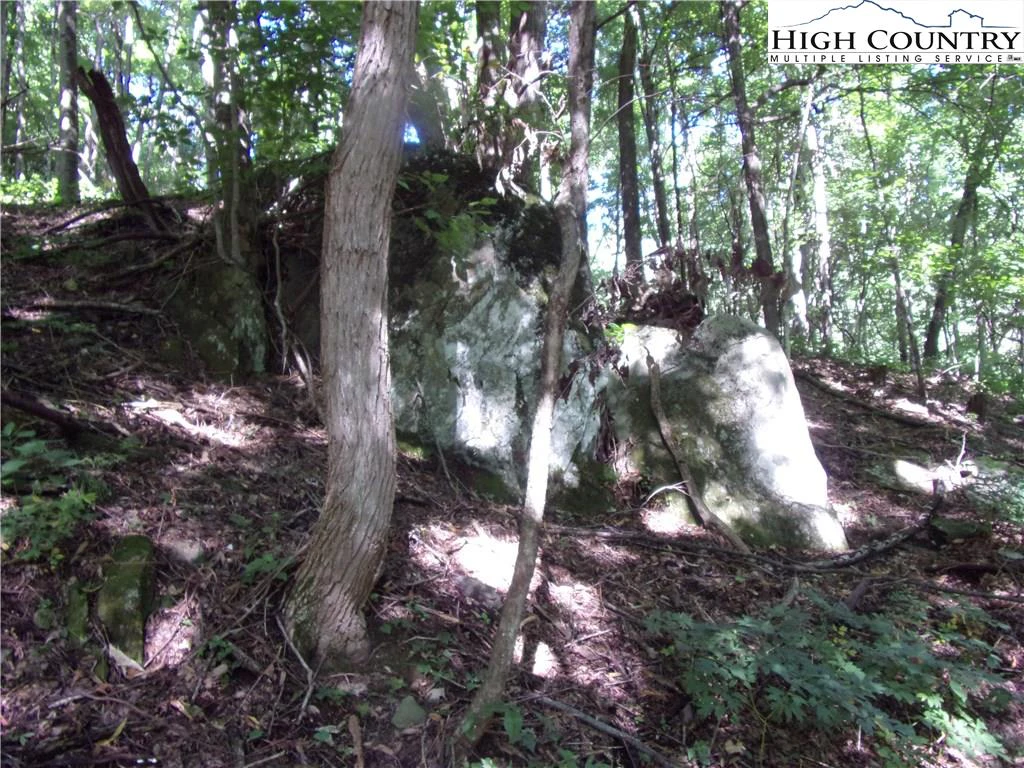 Image number 9 for the current listing