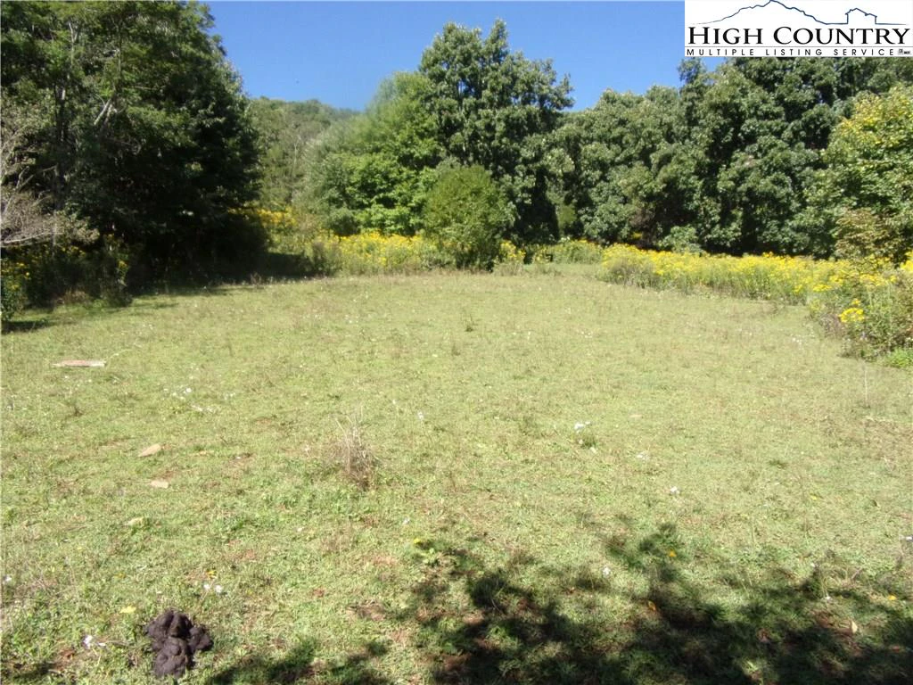 Image number 10 for the current listing
