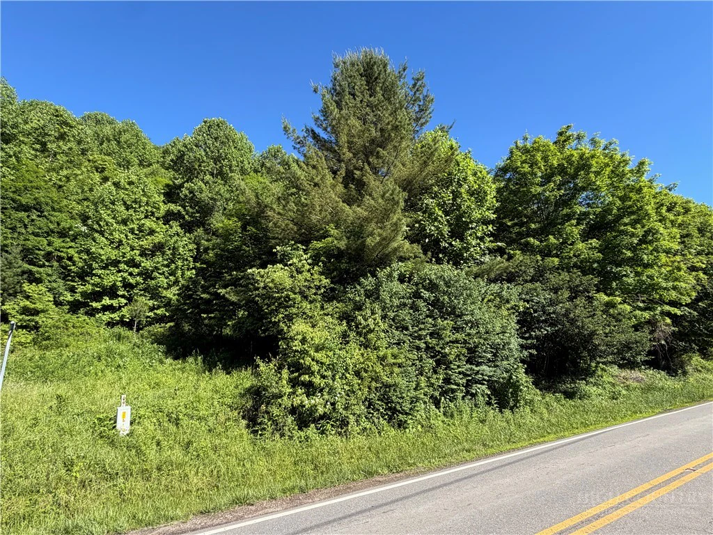 Image number 2 for the current listing