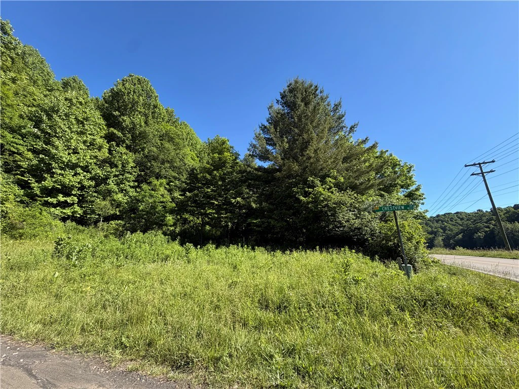Image number 3 for the current listing