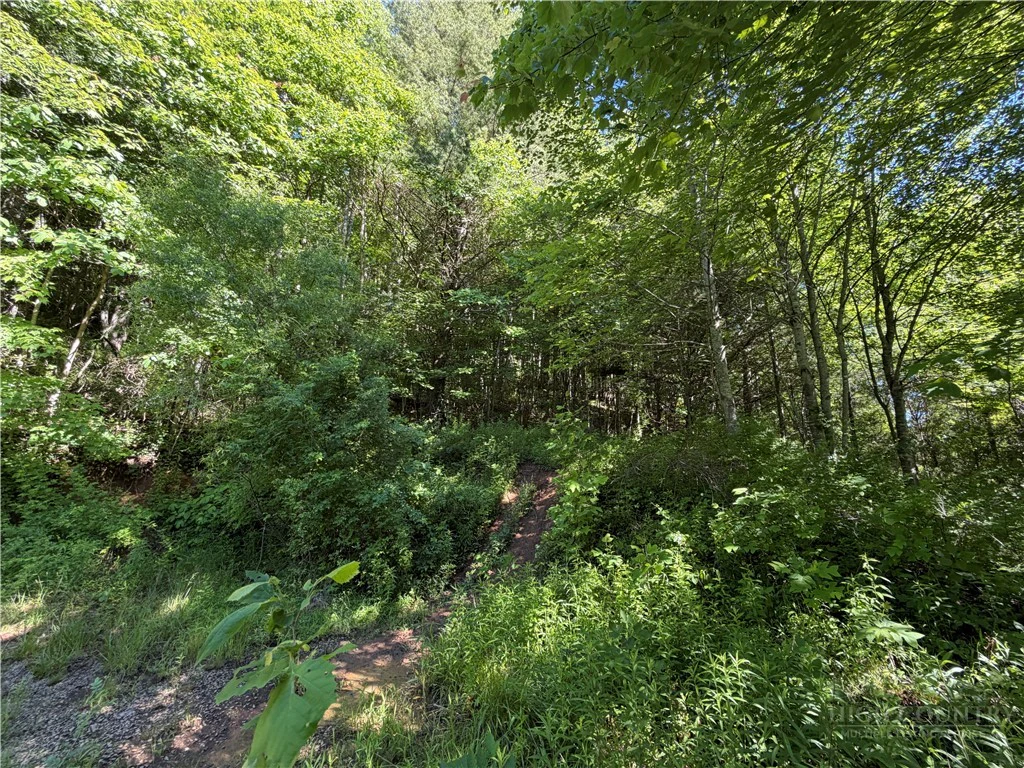 Image number 5 for the current listing