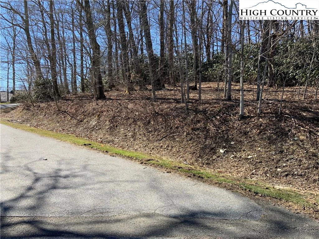 Image number 1 for the current listing