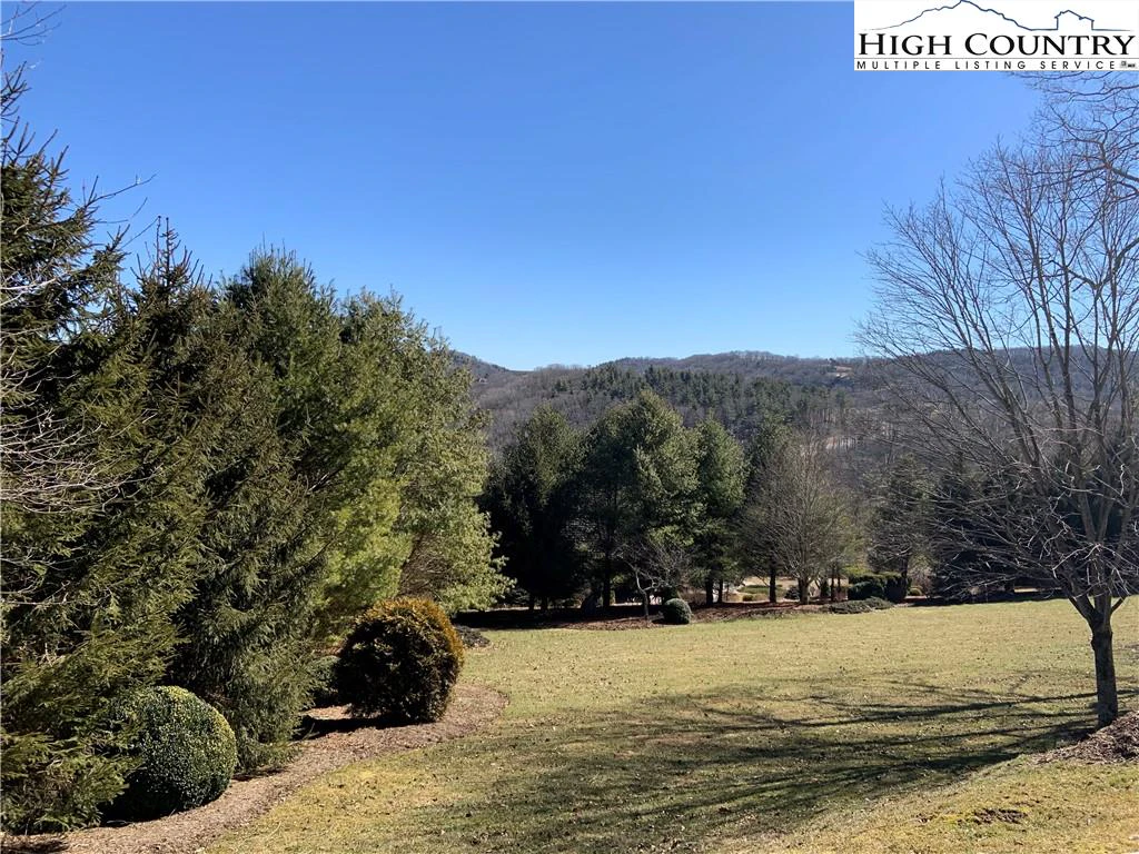 Image number 3 for the current listing