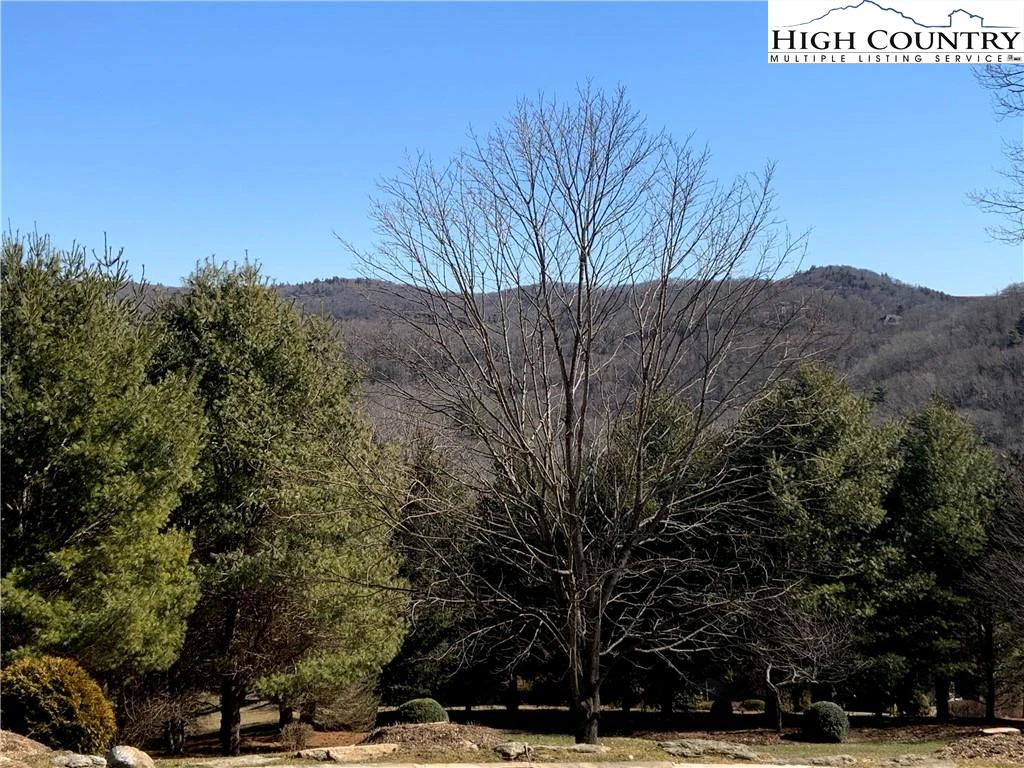 Image number 4 for the current listing