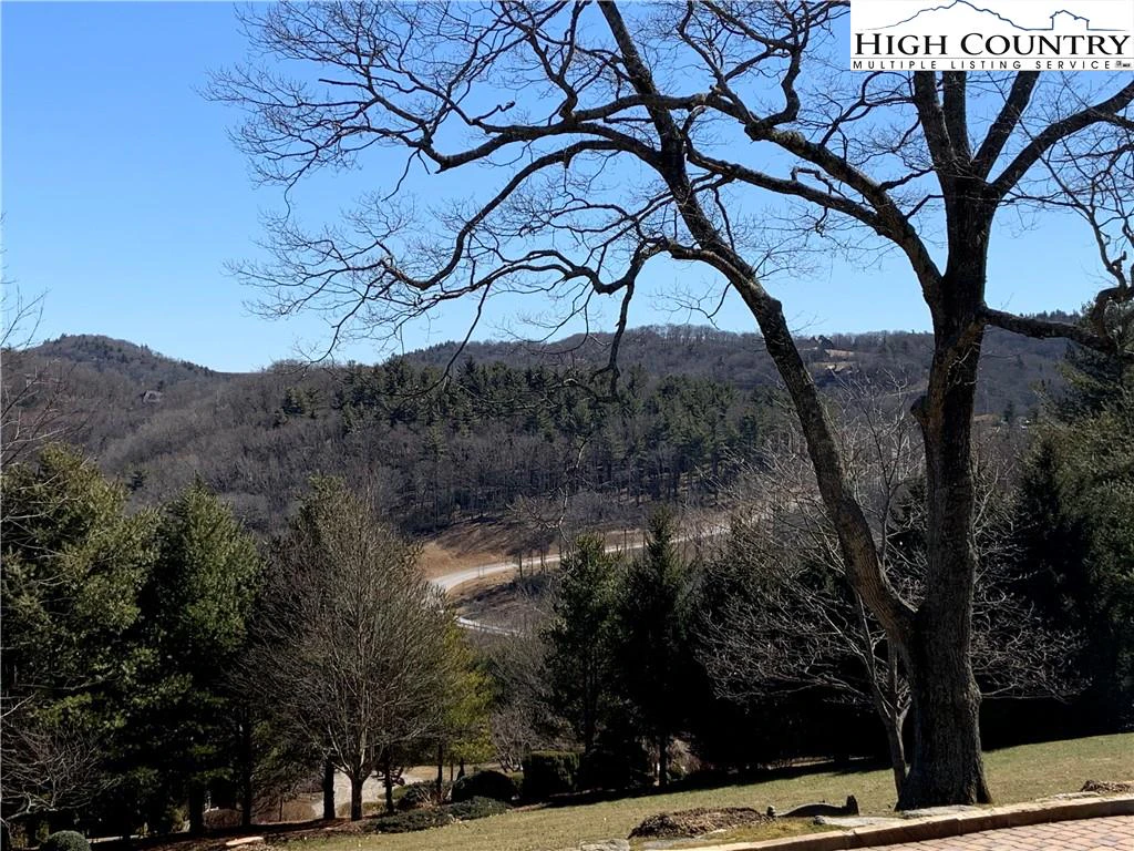 Image number 5 for the current listing