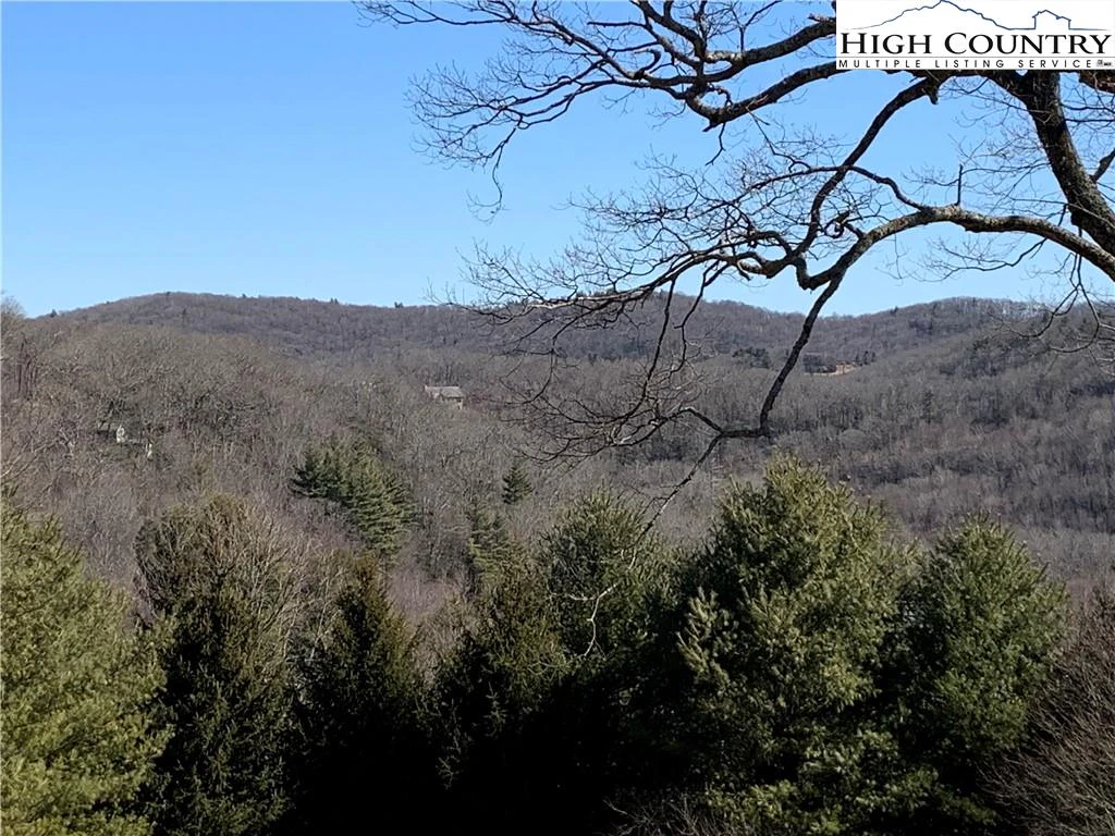 Image number 6 for the current listing