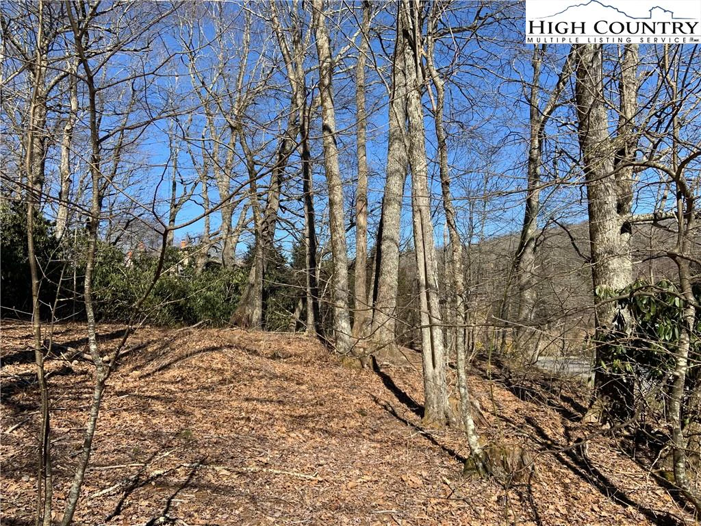Image number 9 for the current listing