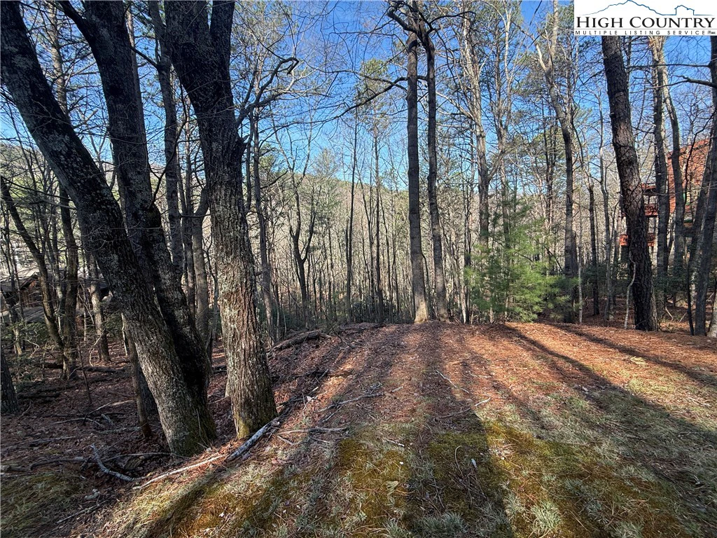 Image number 7 for the current listing