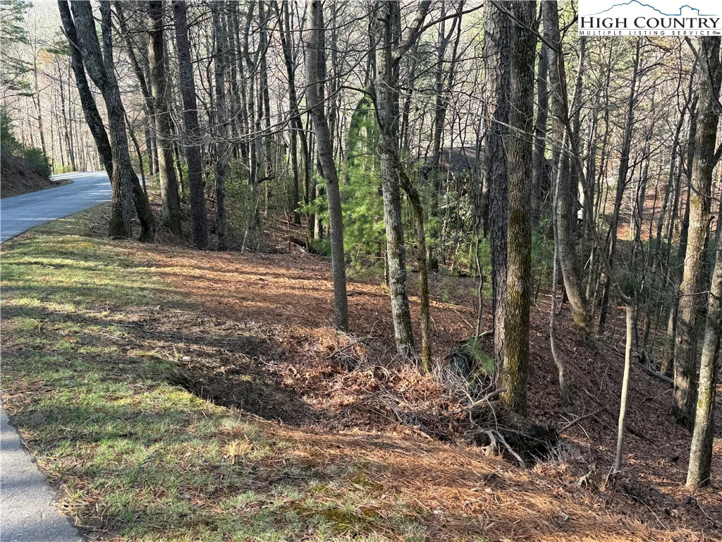 Image number 5 for the current listing