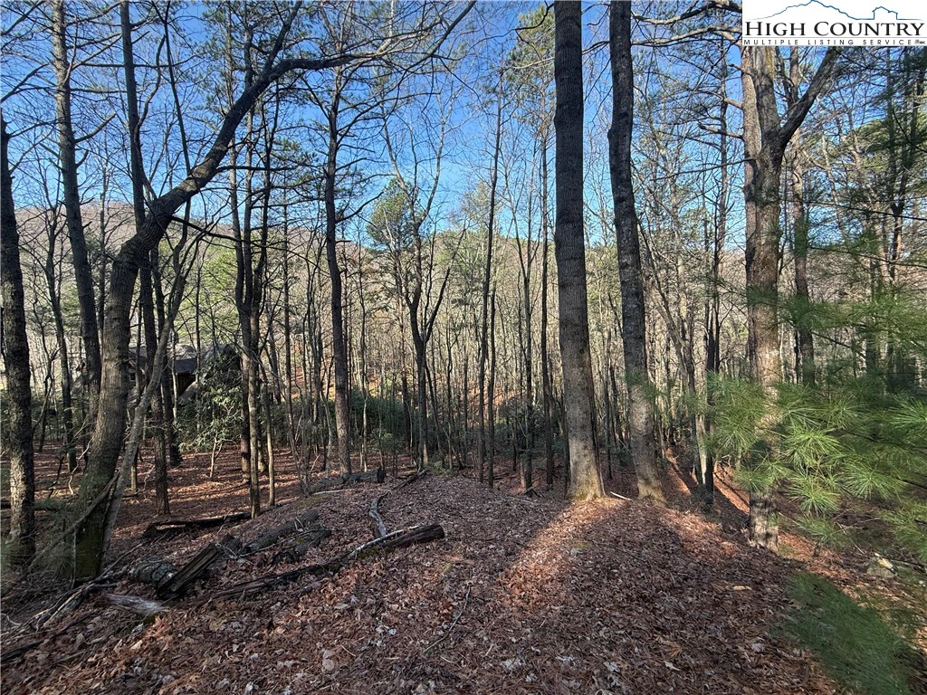 Image number 1 for the current listing