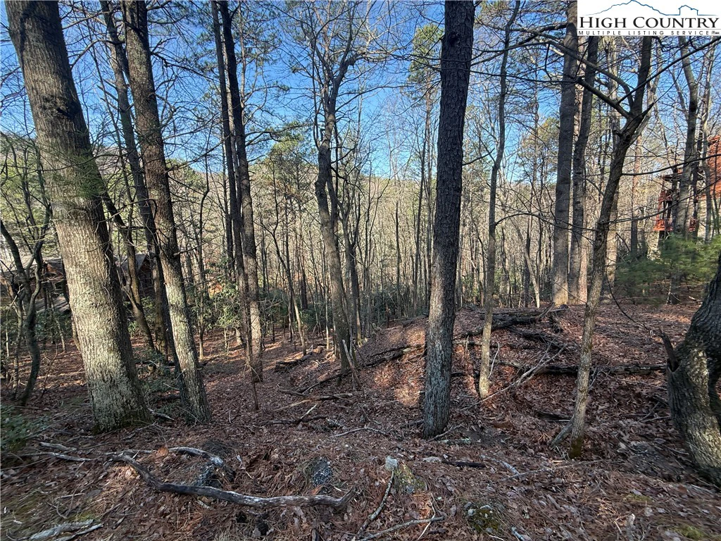 Image number 8 for the current listing